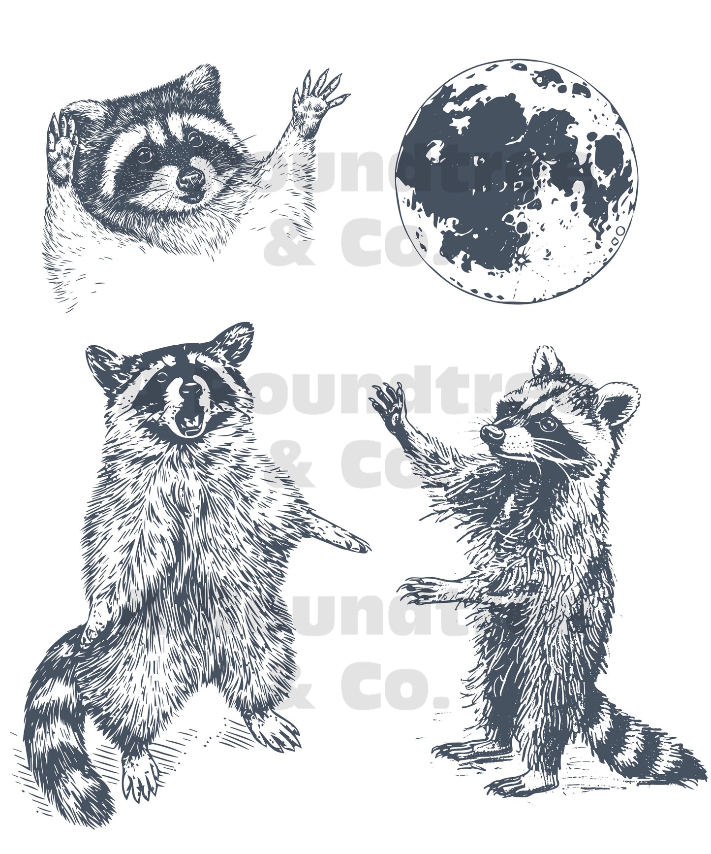 Raccoon Earth