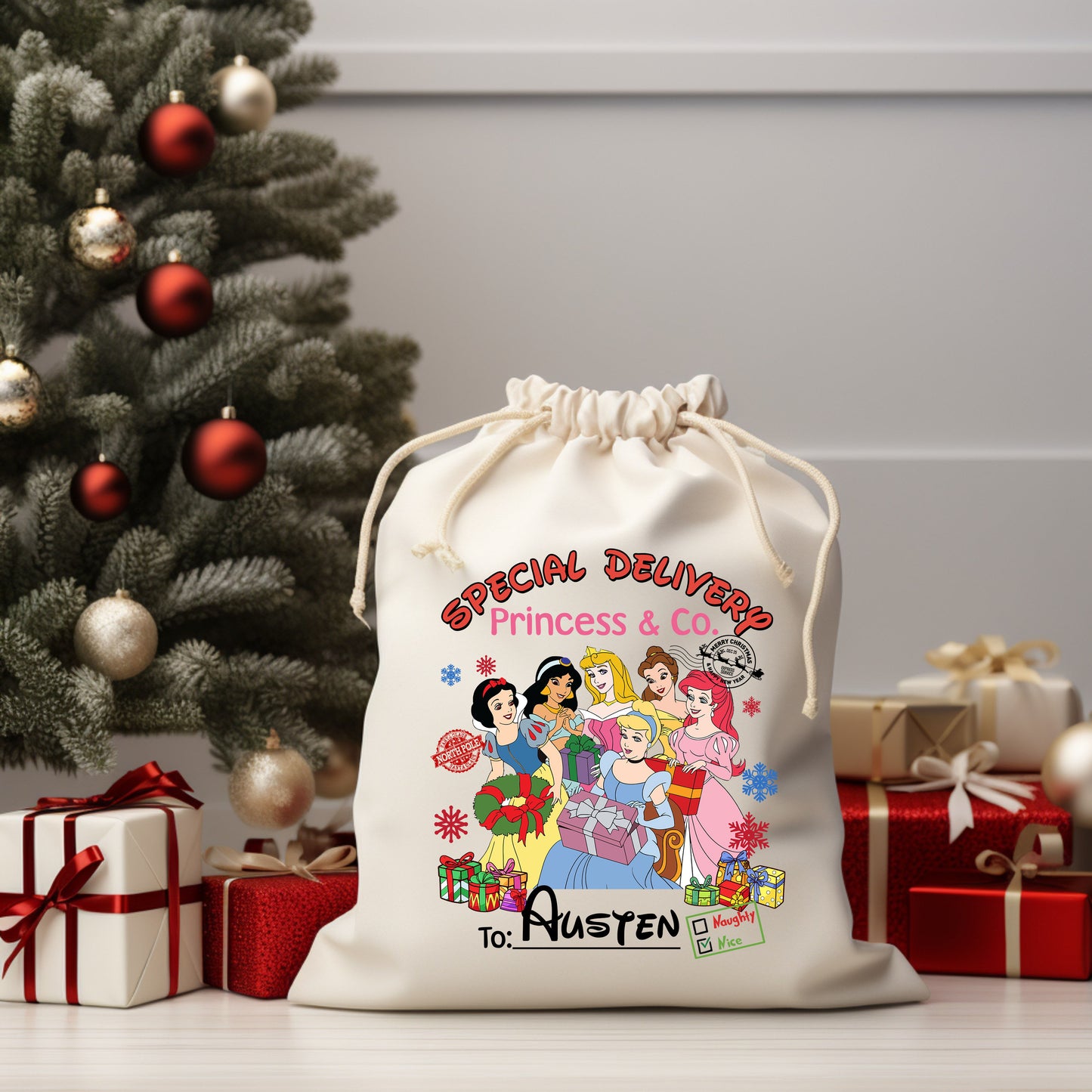 Princess Santa Sack