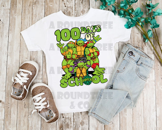 Turtle 100 Days