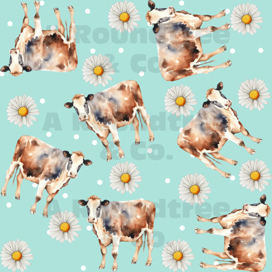 Cows and Daisies