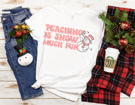 Teaching is Snow Much Fun